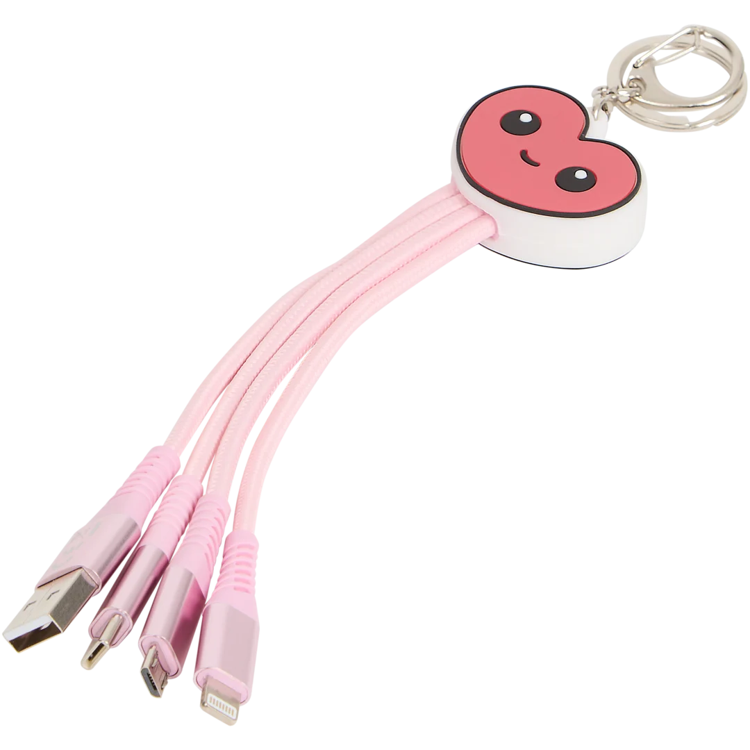 4-in-1 sleutelhanger met oplaadkabels 5