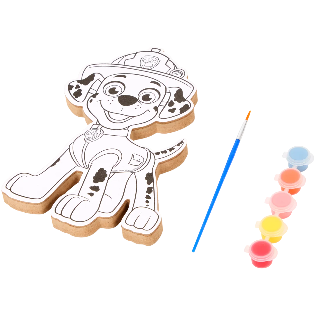 Juego de pintura con lienzo Paw Patrol