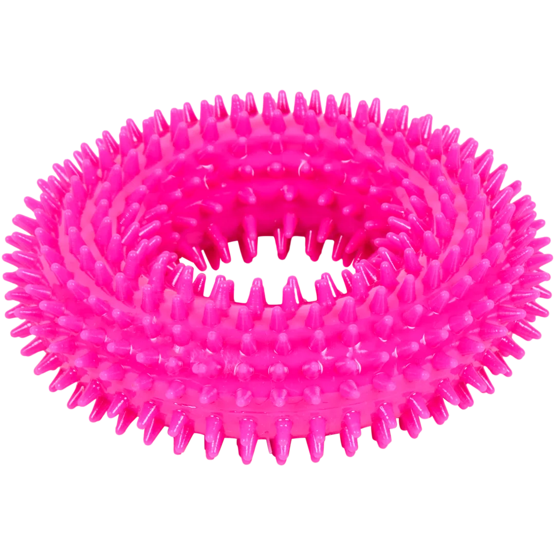 Jouet à mordre pour chien 3