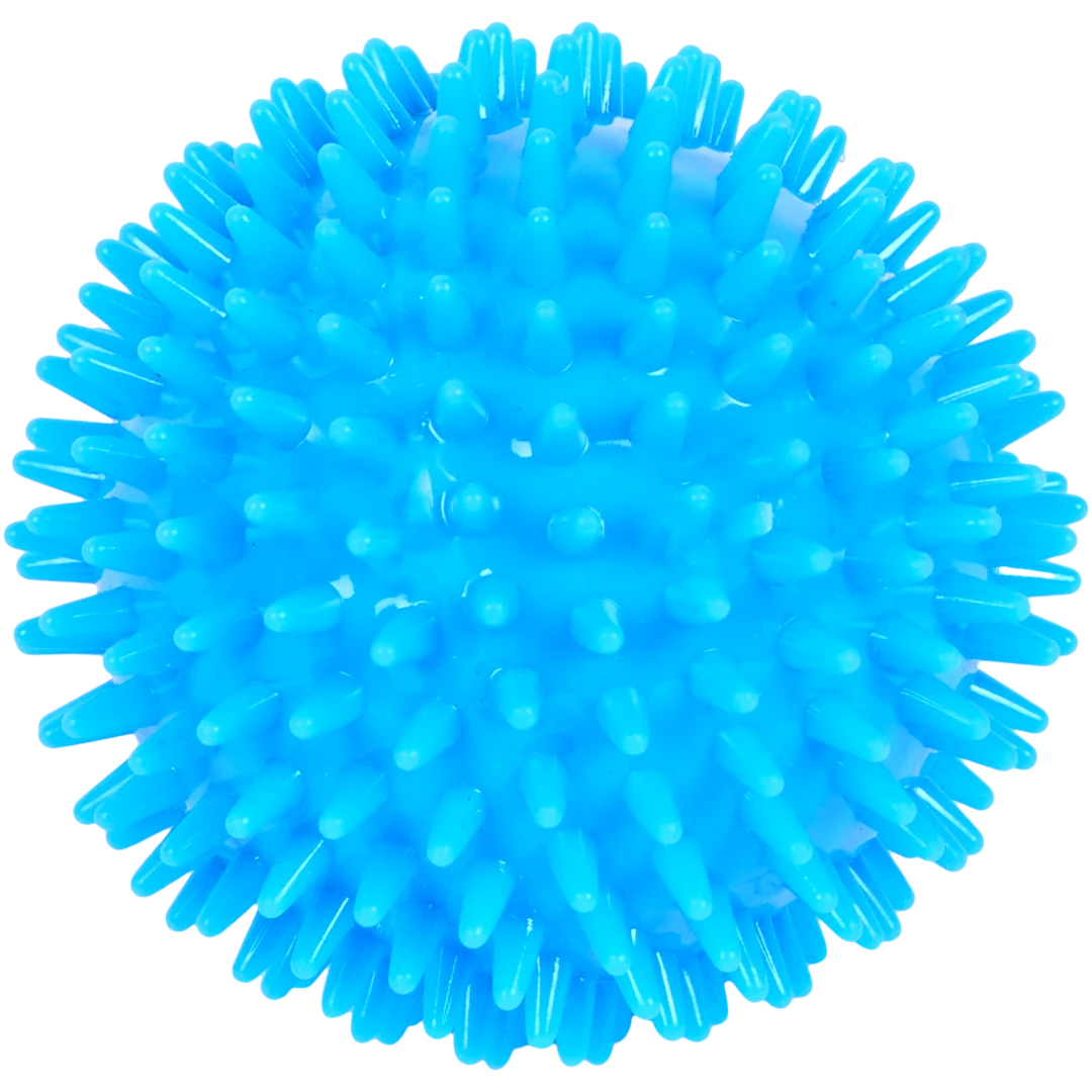 Jouet à mordre pour chien 2