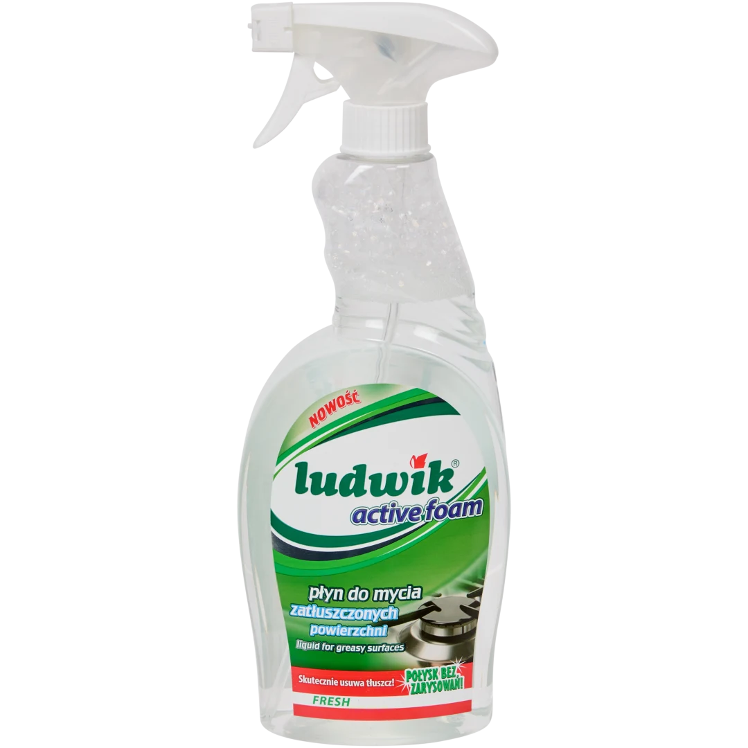Odtłuszczacz Ludwik