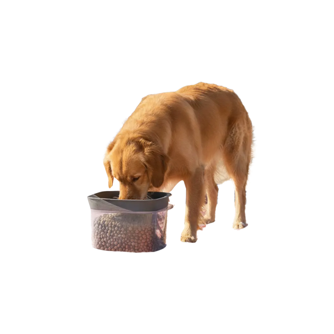 Recipient de hrană pentru călătorie Starplast 2