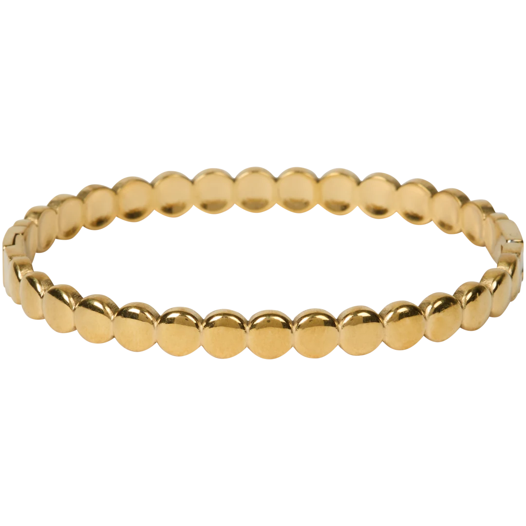 Roestvrijstalen bangle-armband