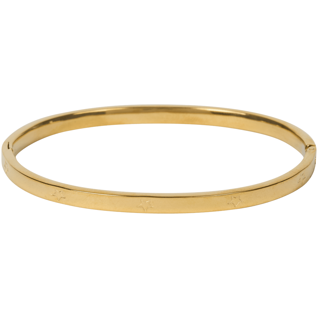 Roestvrijstalen bangle-armband