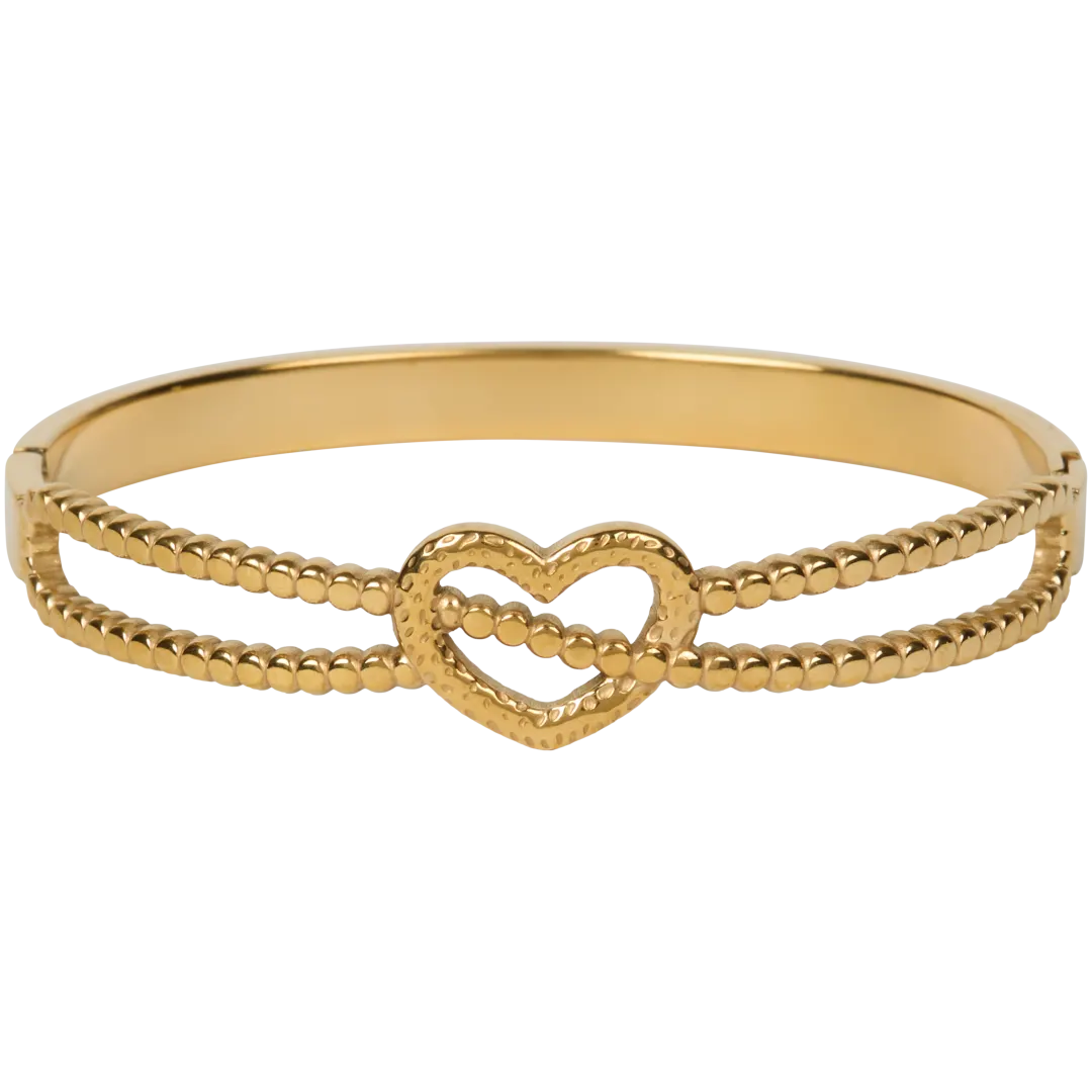 Roestvrijstalen bangle-armband