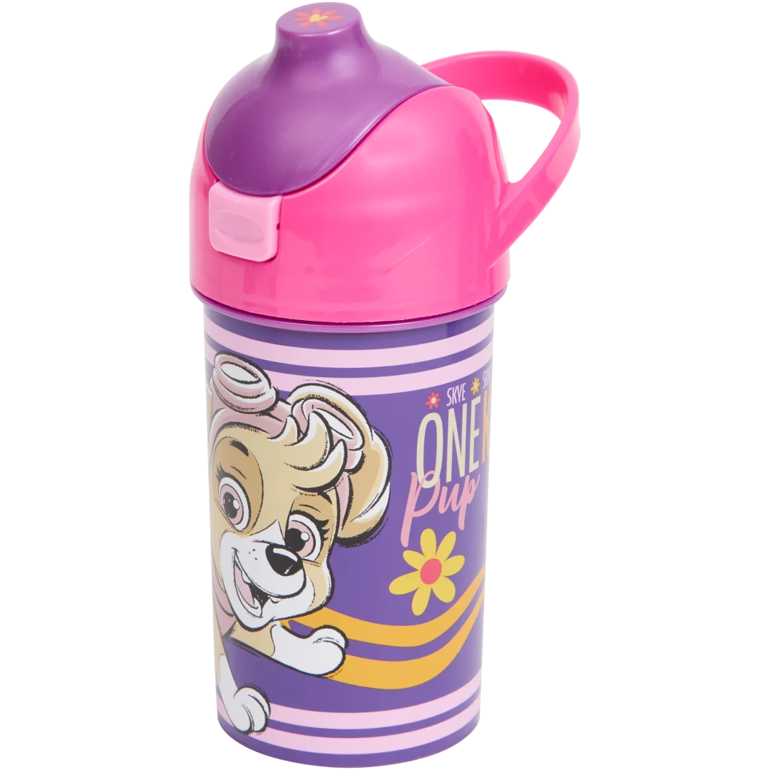 Borraccia flip-top Disney 5