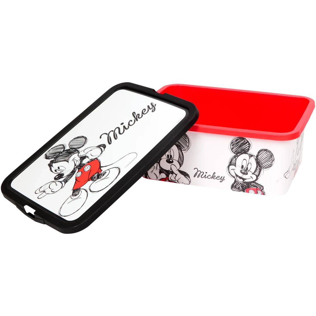 Contenitore Disney 6