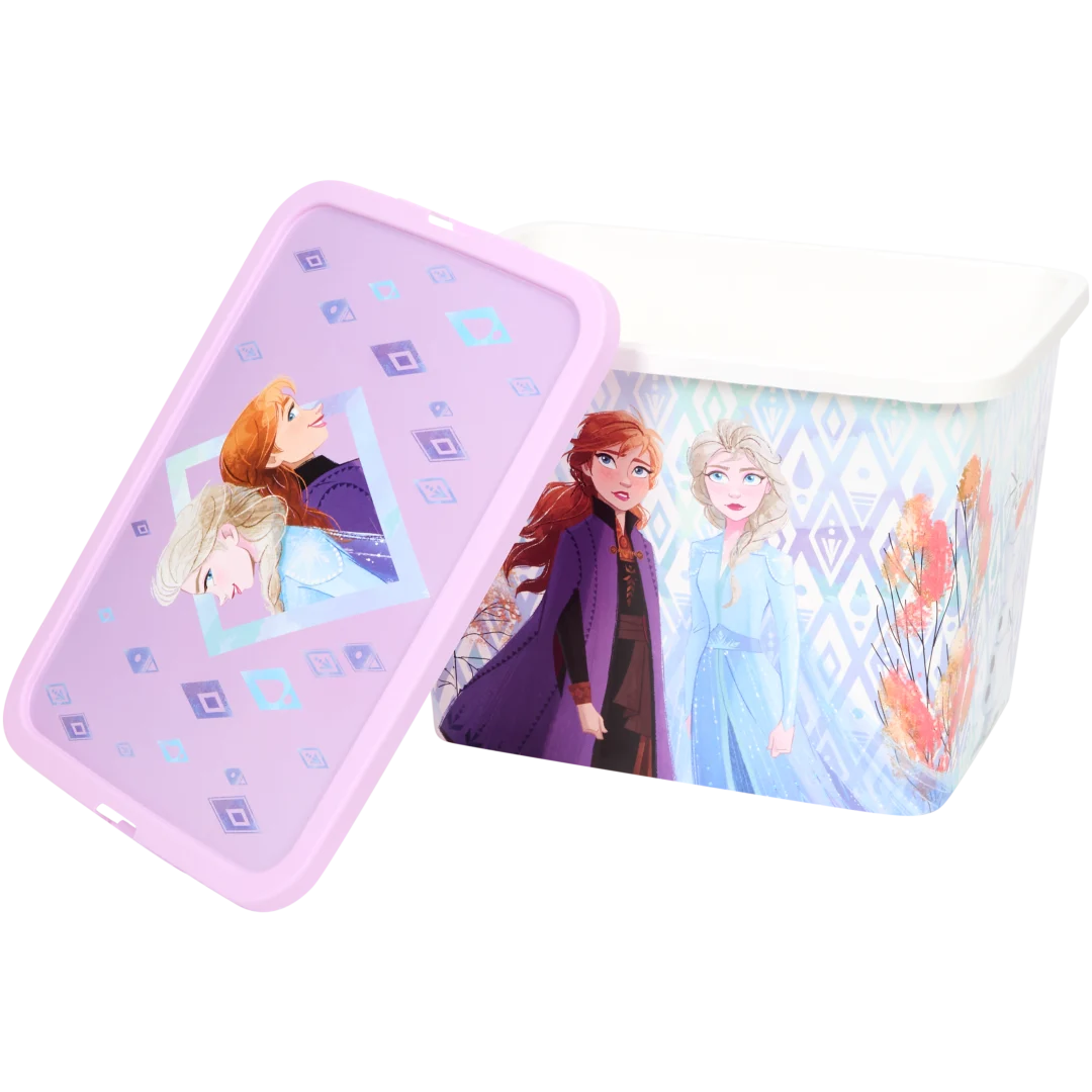 Caixa de arrumação Disney