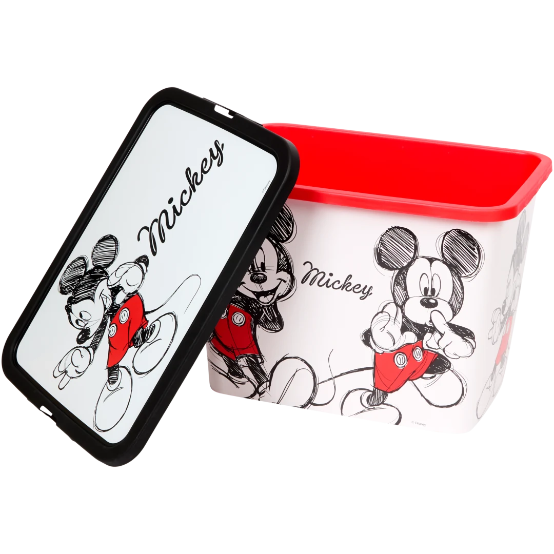 Caixa de arrumação Disney