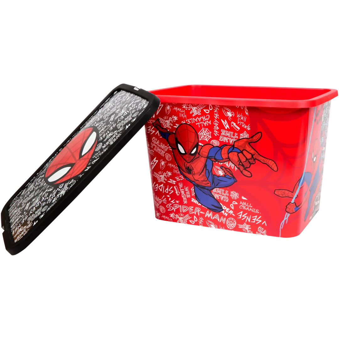 Caixa de arrumação Disney