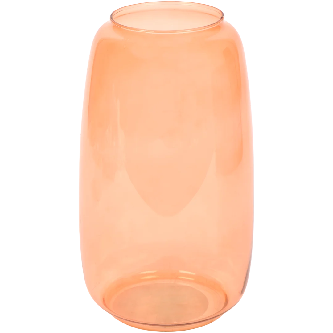 Vaso Evi