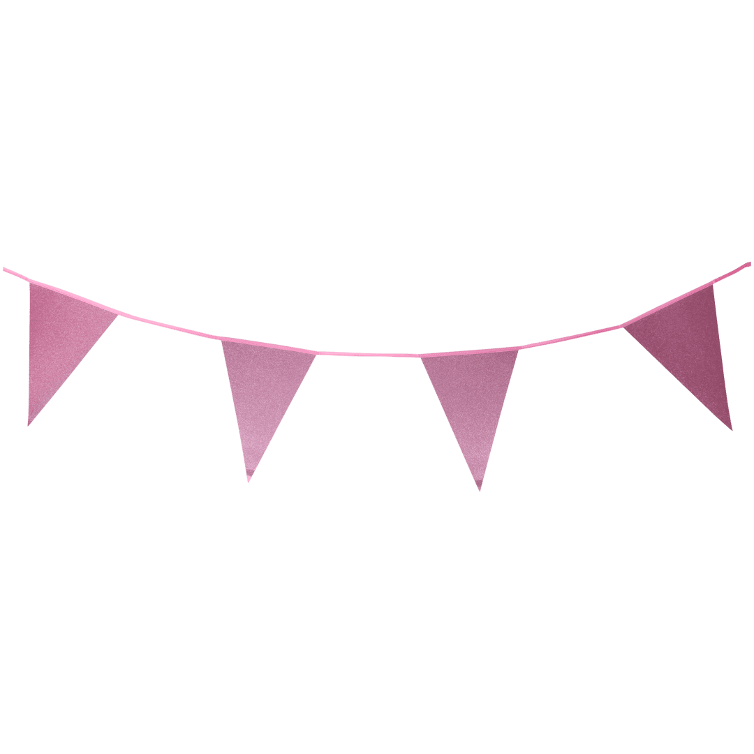 Guirlande de drapeaux à paillettes Party Universe