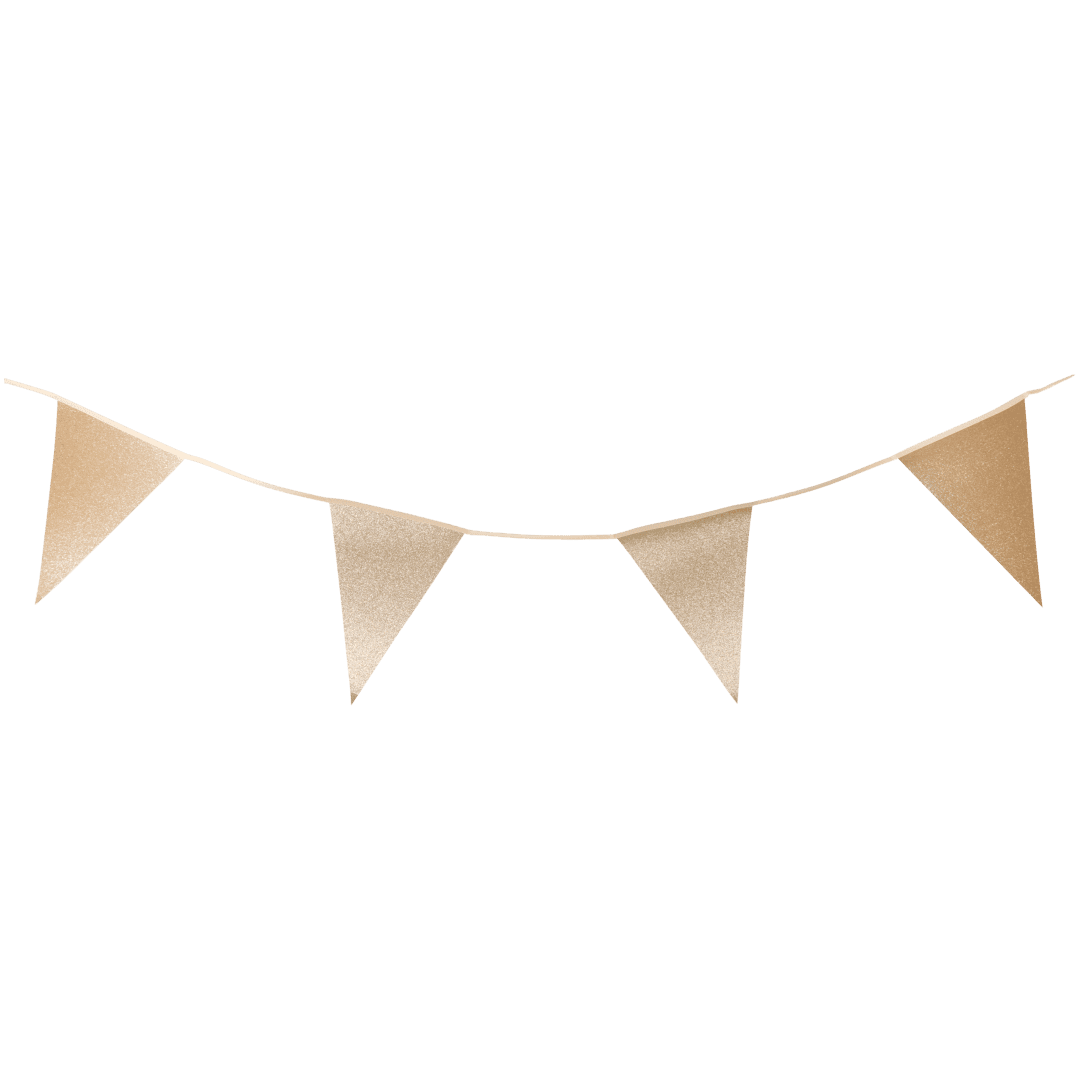 Guirlande de drapeaux à paillettes Party Universe