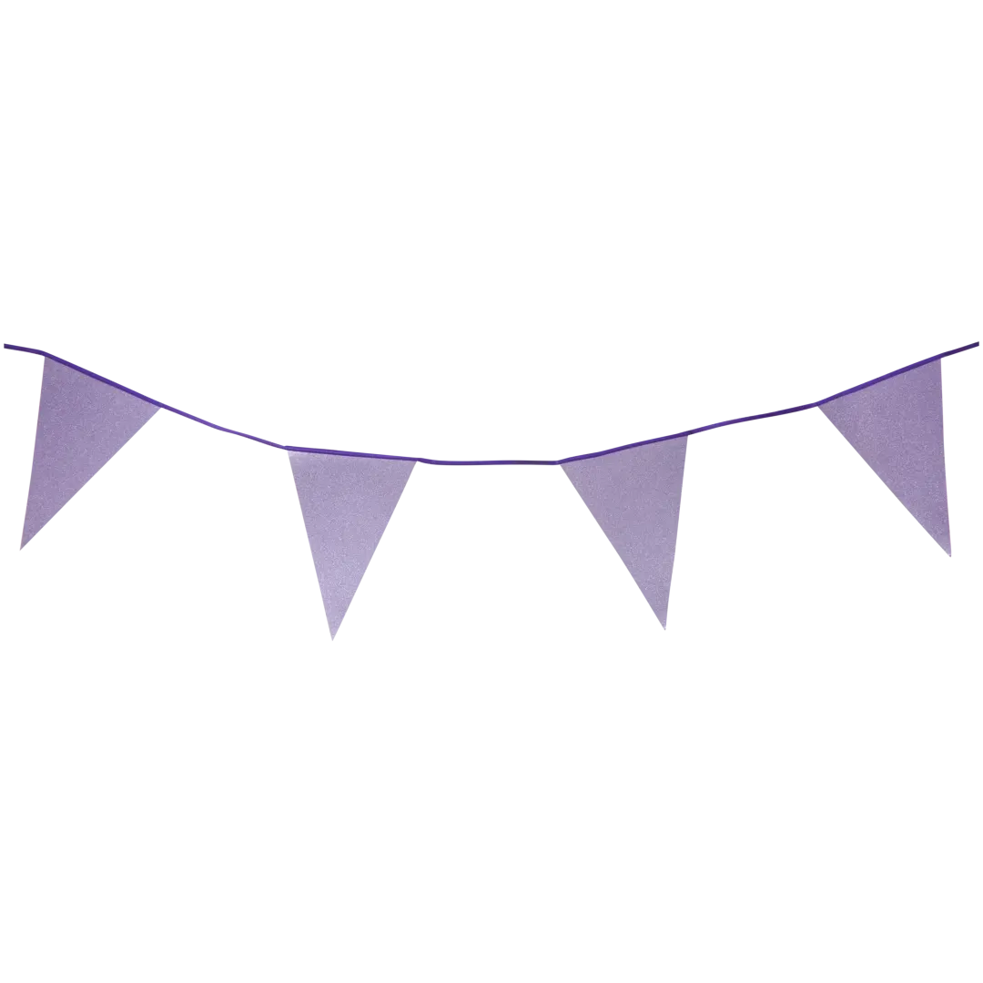 Guirlande de drapeaux à paillettes Party Universe