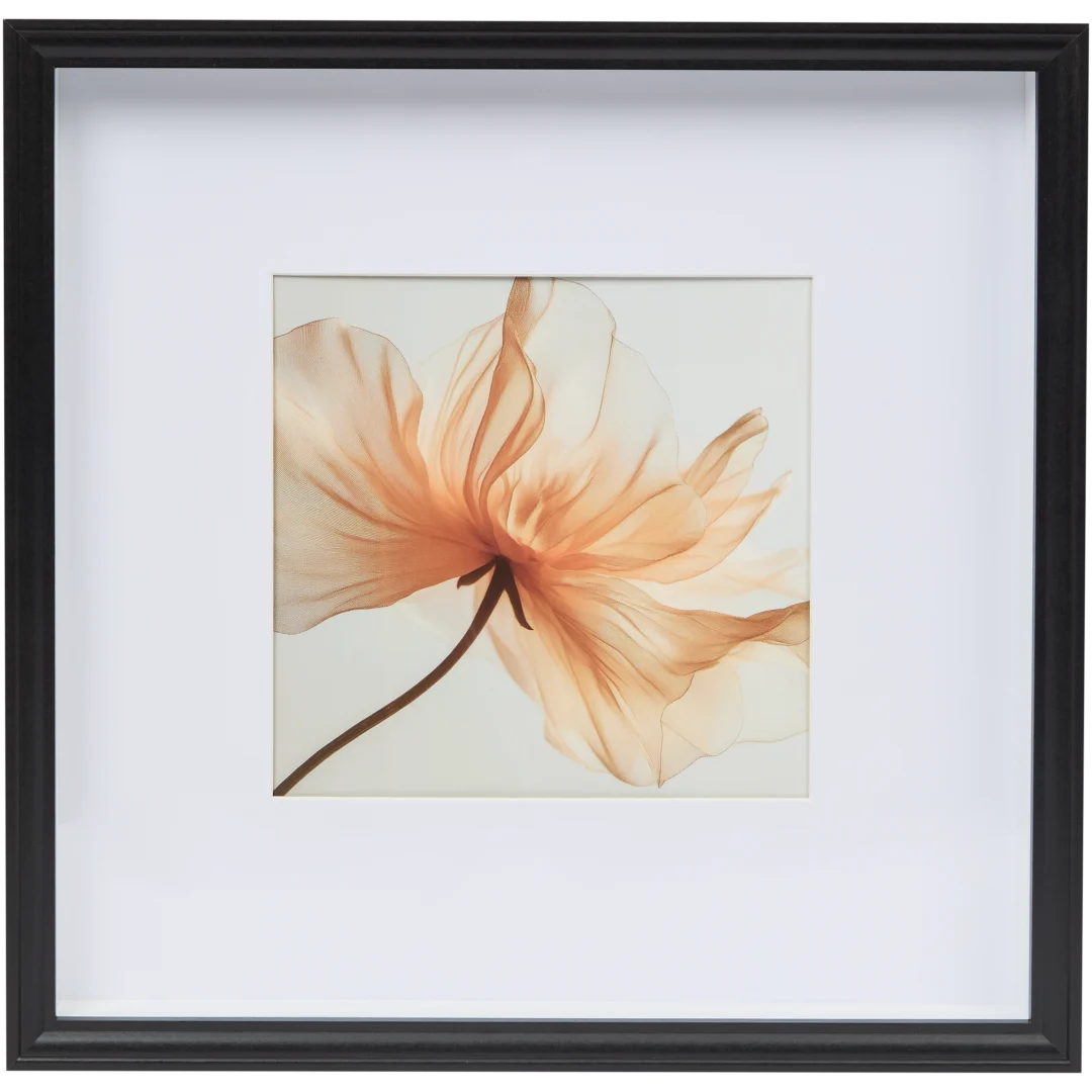 Marco de fotos Málaga