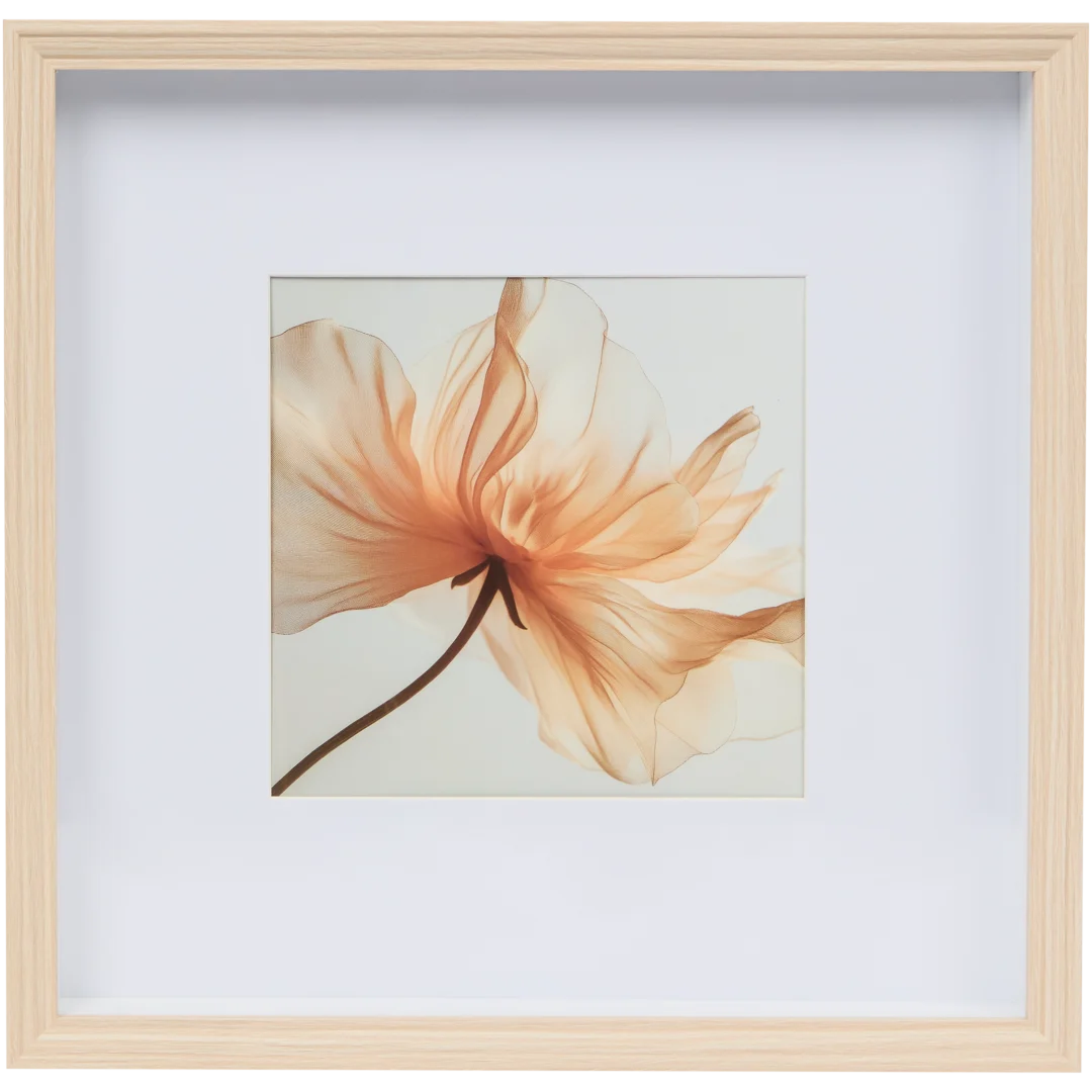 Marco de fotos Málaga