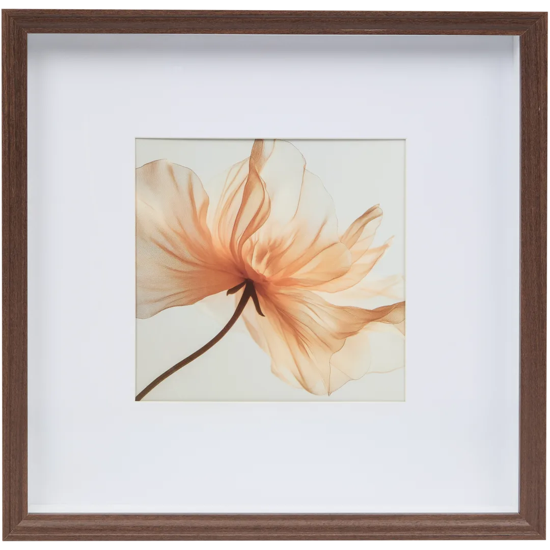 Marco de fotos Málaga