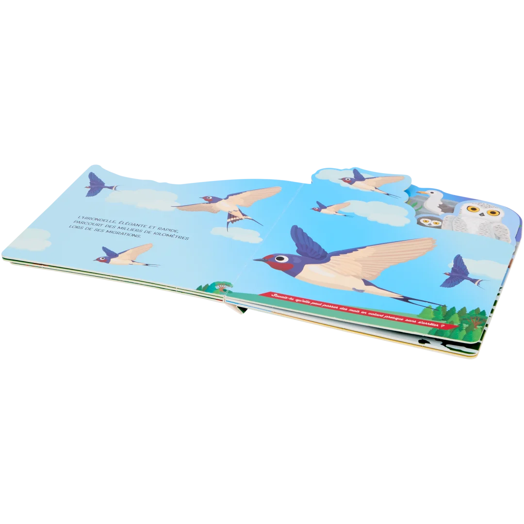 Livre pour enfants 2