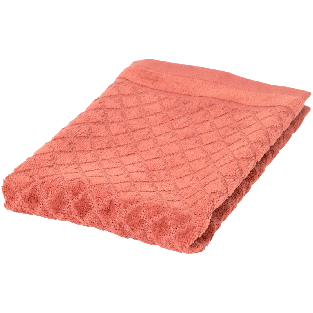 Serviette d'invité 1