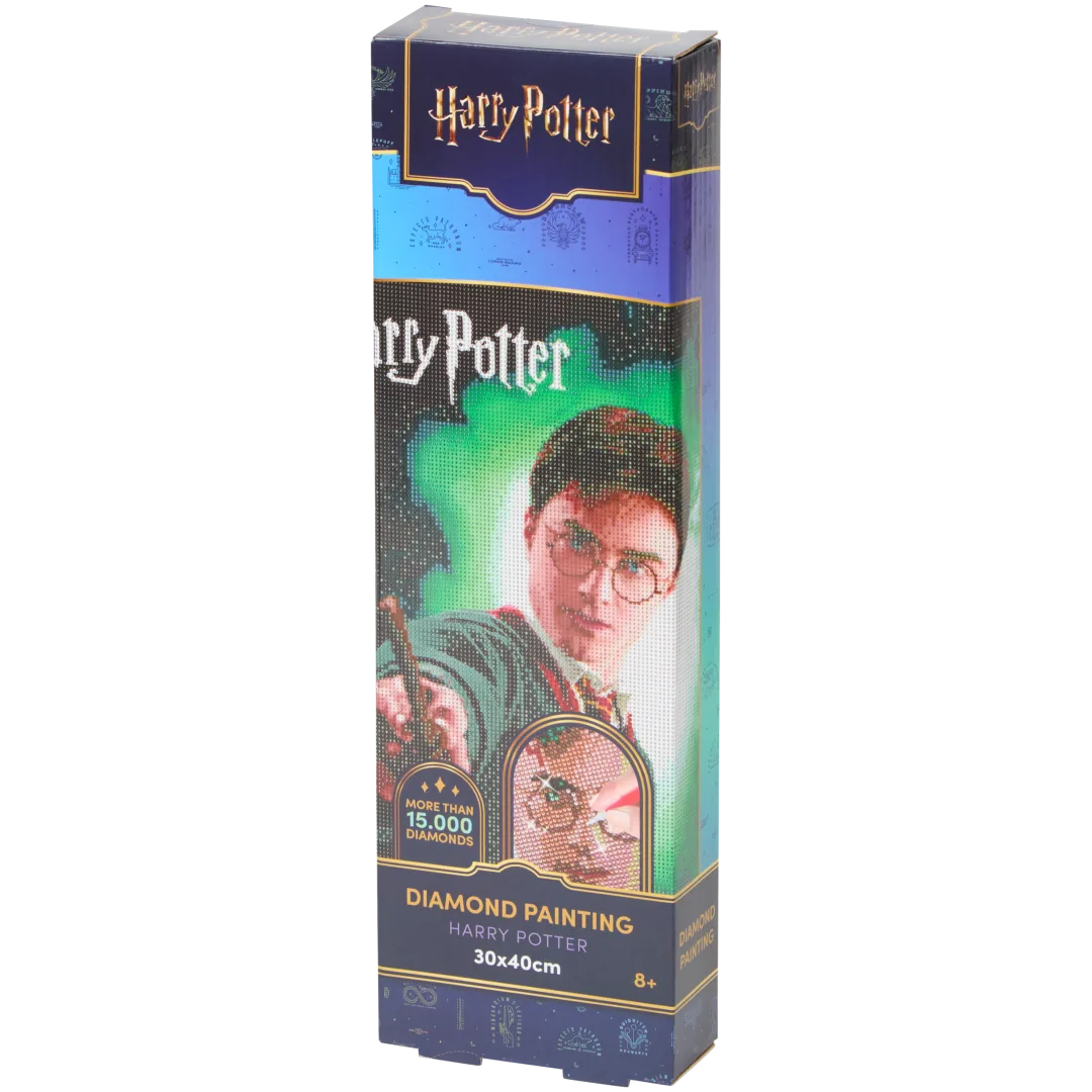 Harry Potter diamond painting