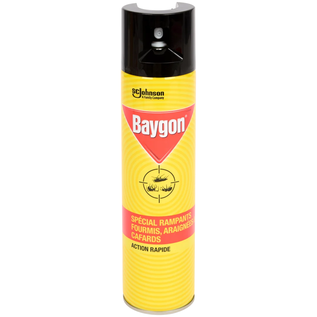 Spray anti-insectes Baygon 1