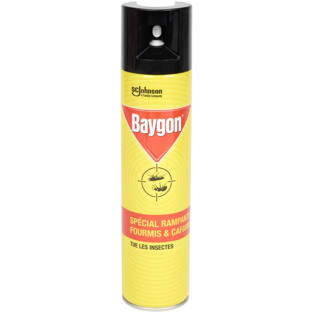 Spray anti-insectes Baygon 1
