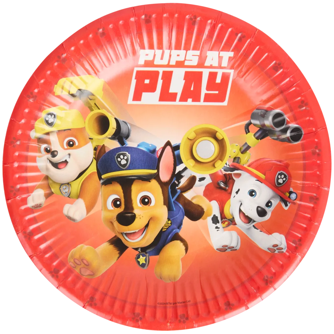 Piattini di carta usa e getta 3