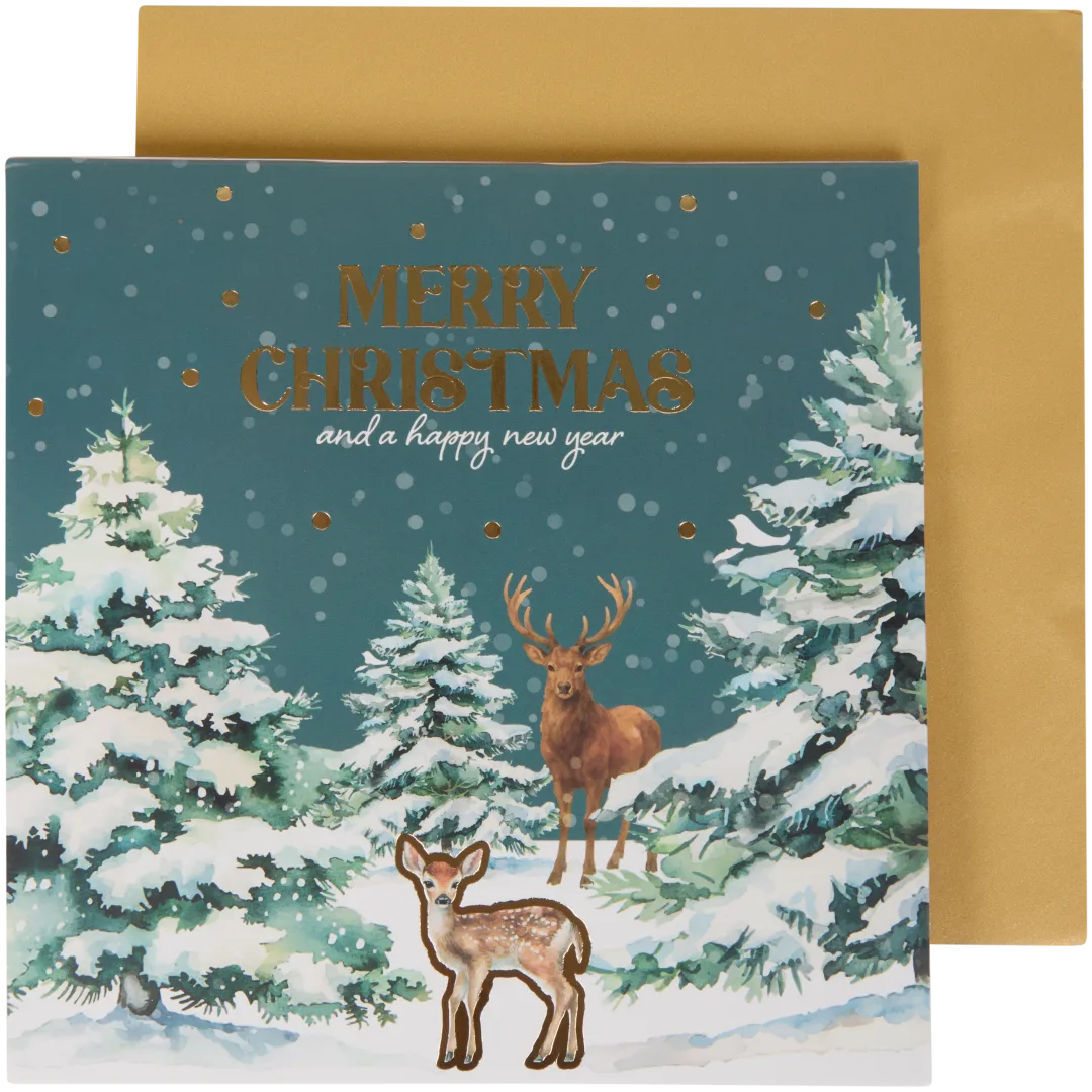 Biglietto di Natale con musica e luci 1
