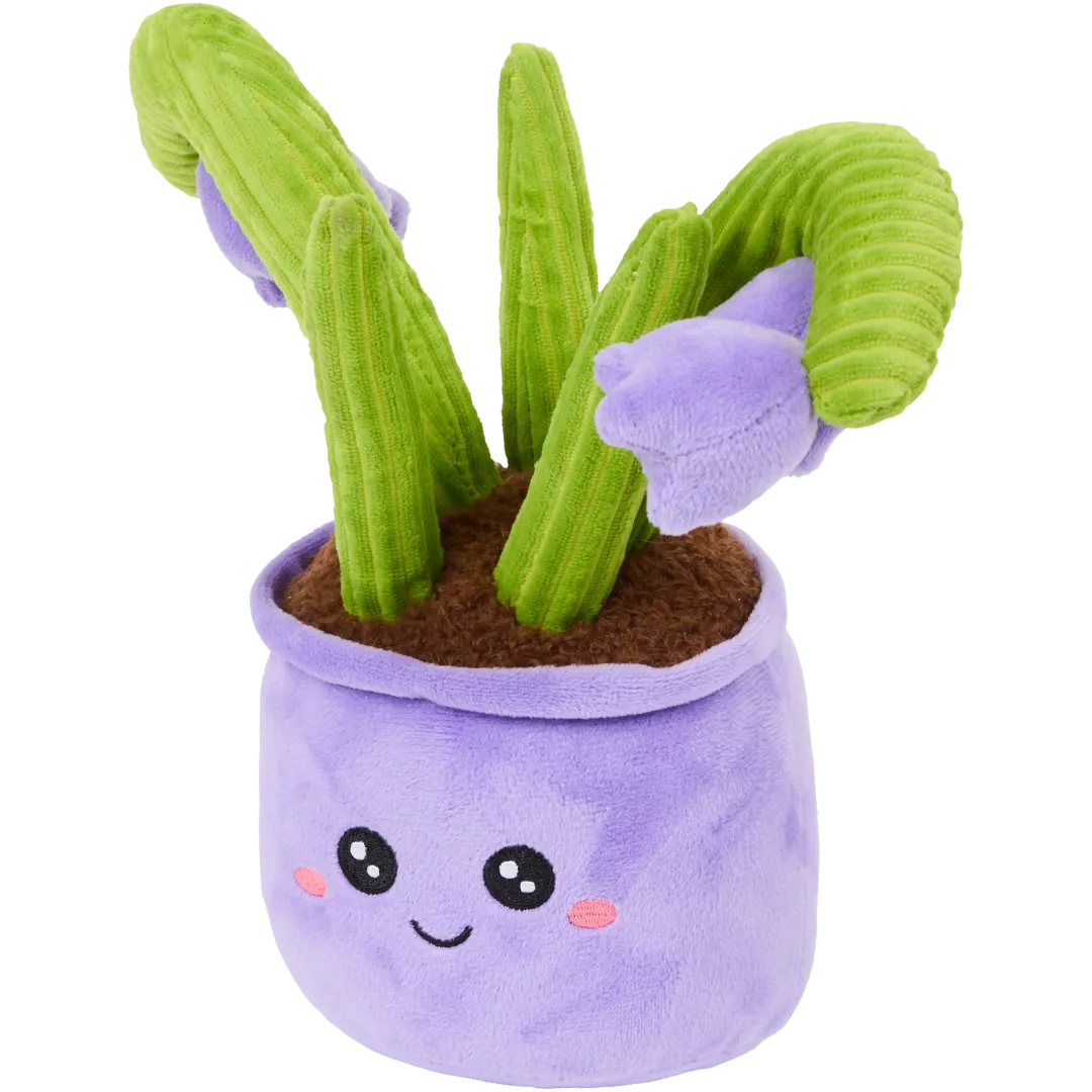 Pianta peluche in vaso