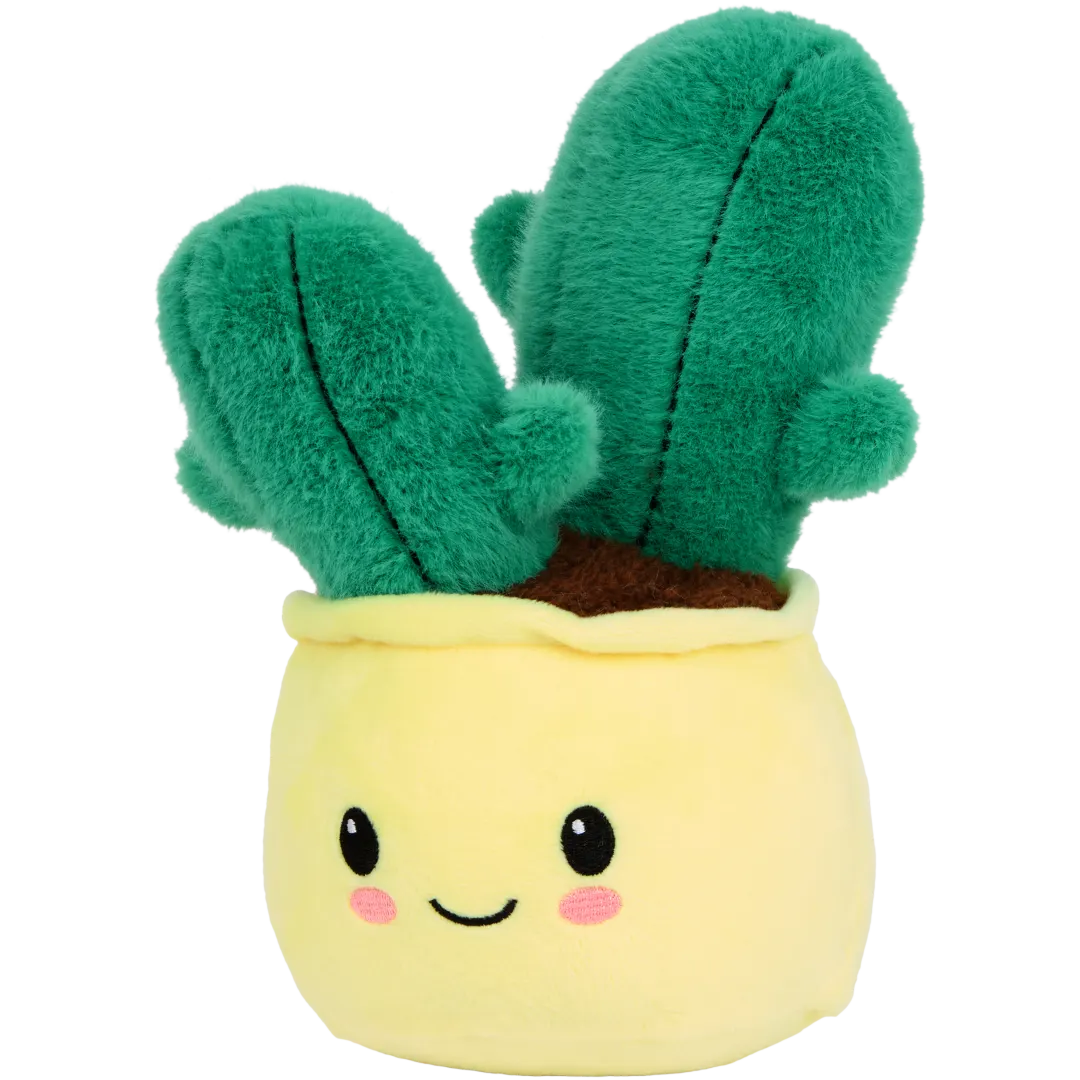 Pianta peluche in vaso