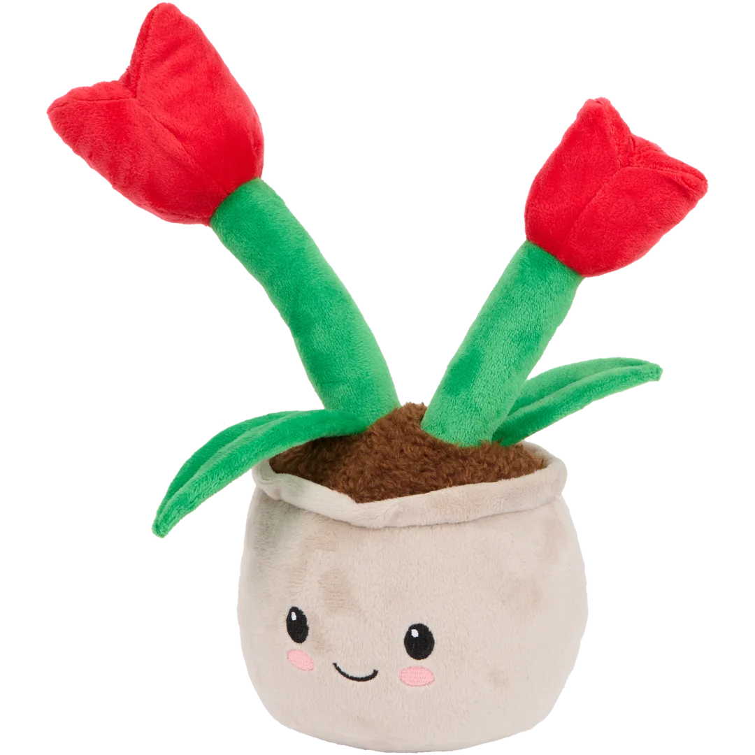 Pianta peluche in vaso