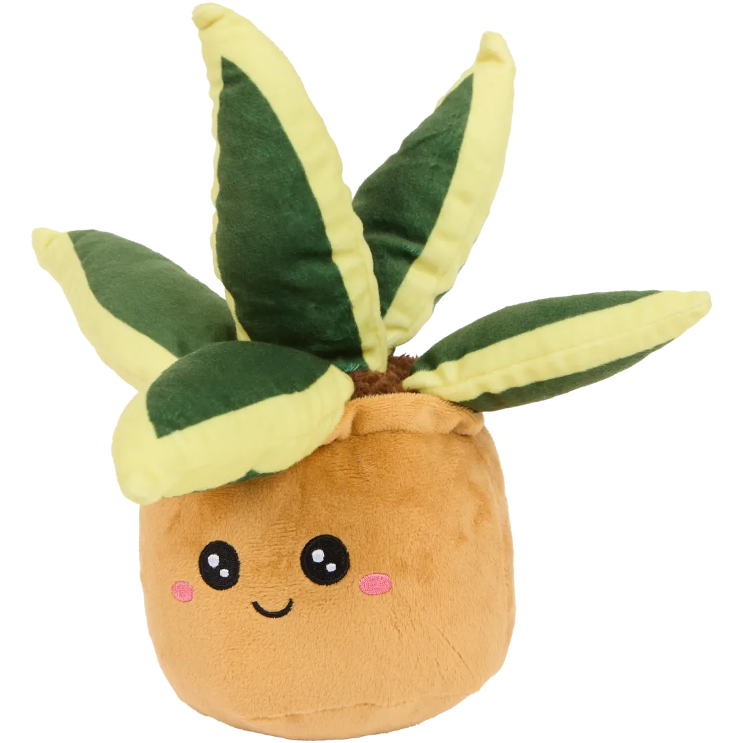 Pianta peluche in vaso