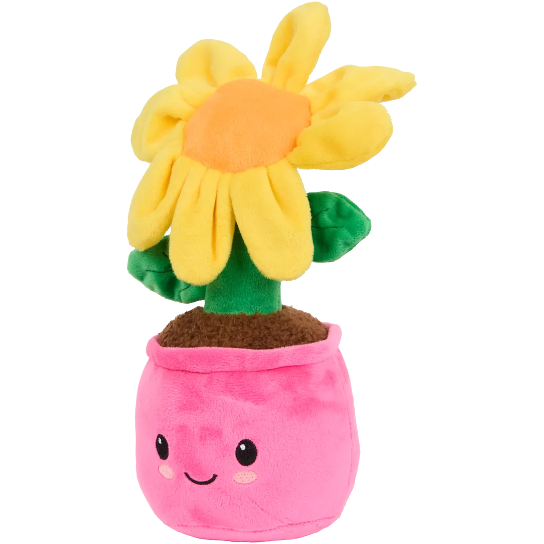 Pianta peluche in vaso