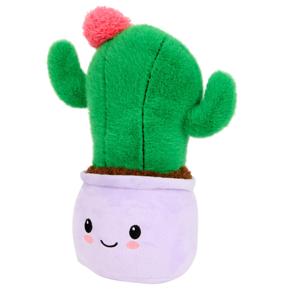 Pianta peluche in vaso