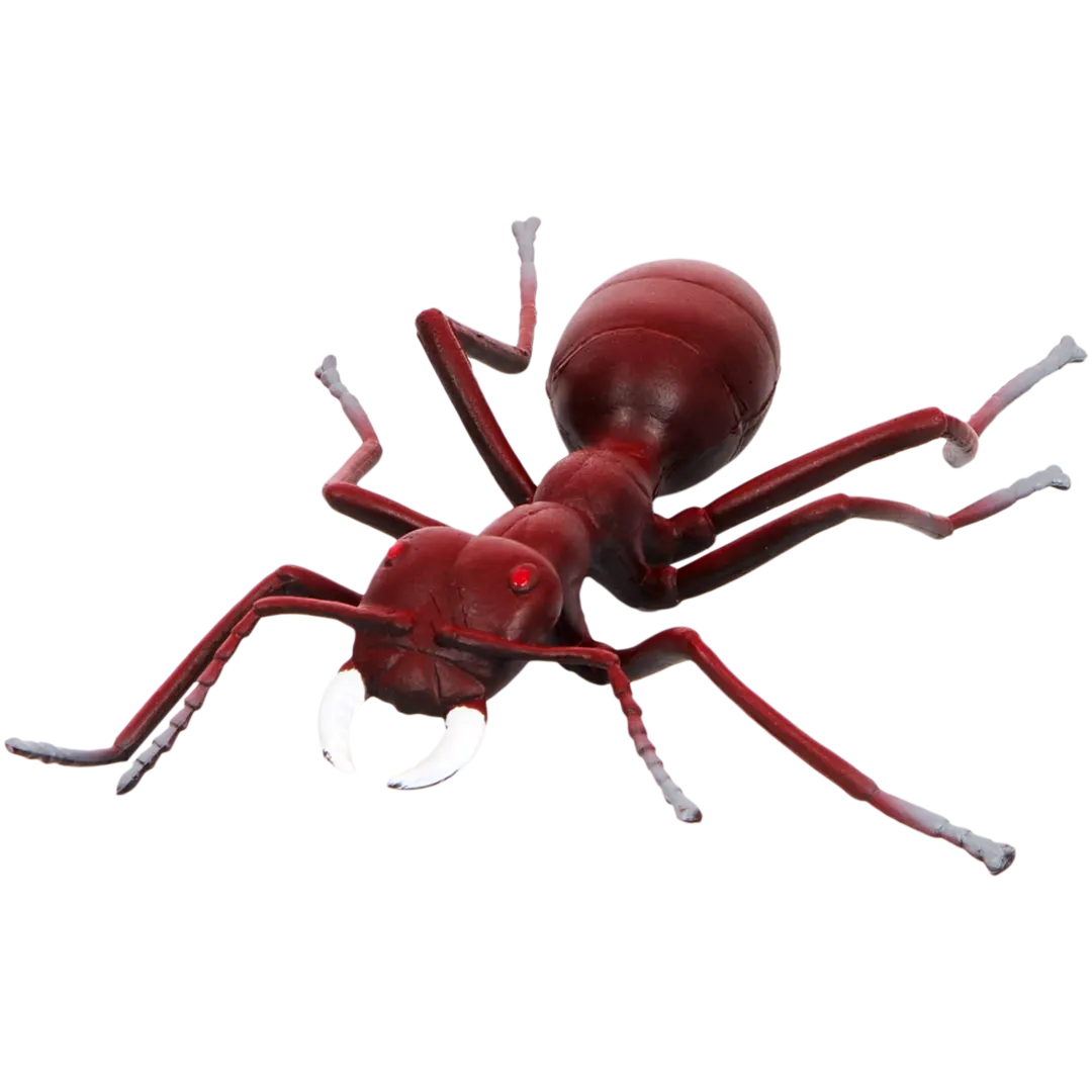 Figura giocattolo insetti