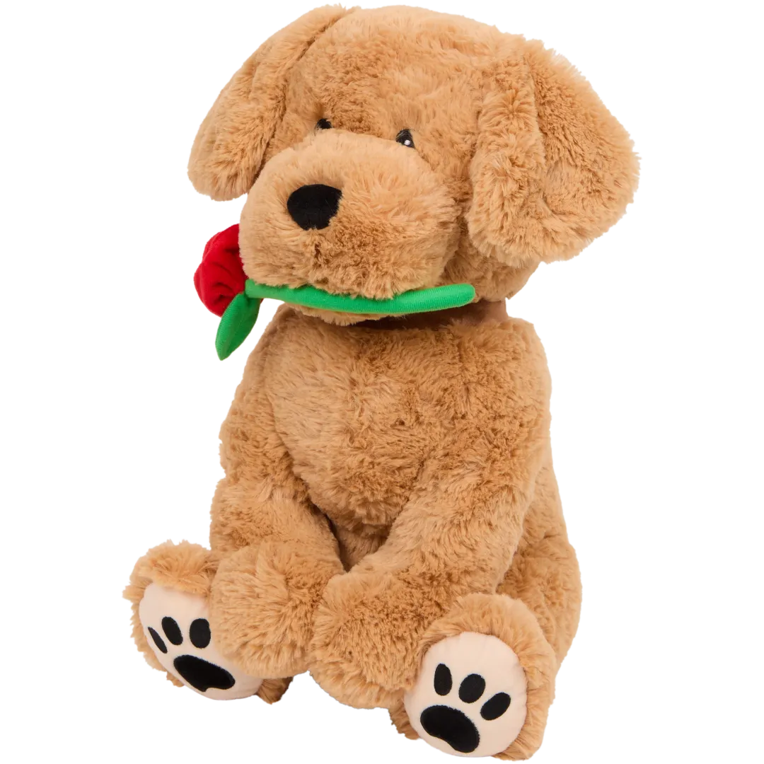 Perro de peluche Mini Matters 1