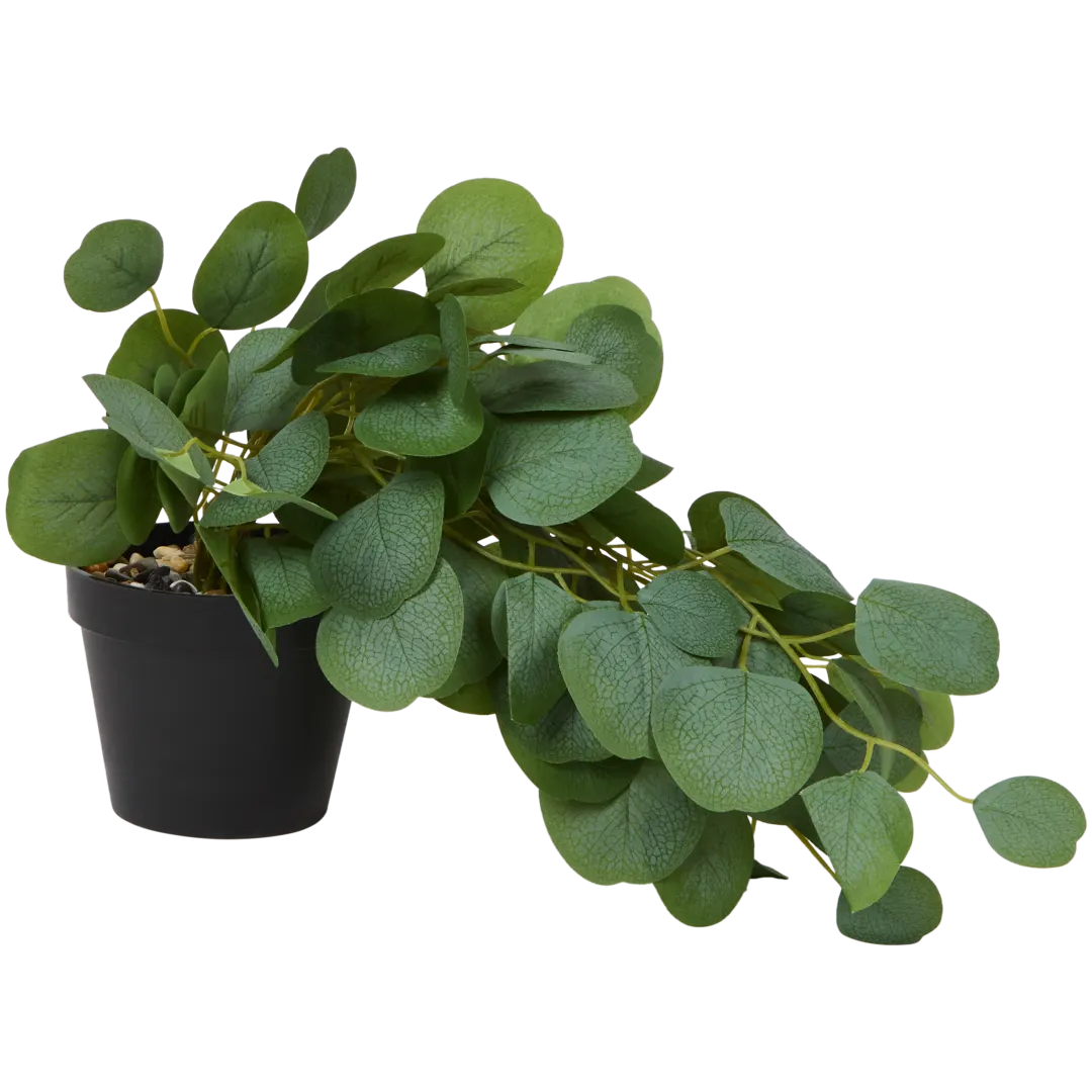 Kunst hangplant in pot