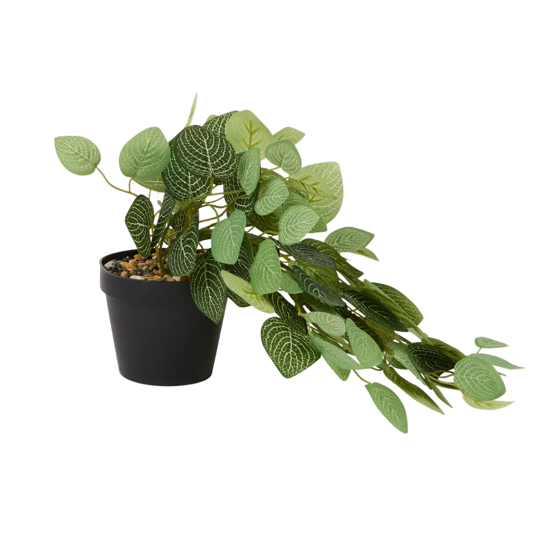Kunst hangplant in pot