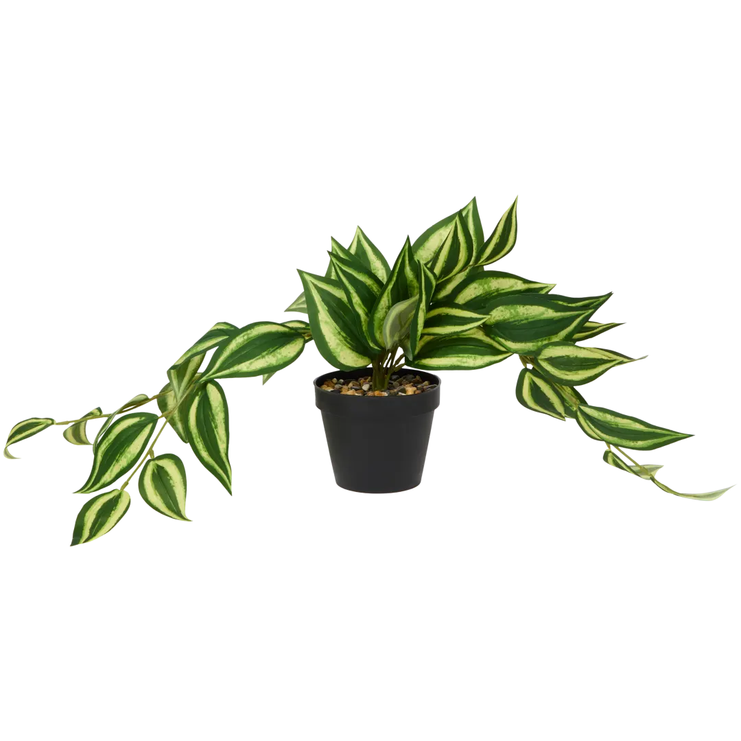 Kunst hangplant in pot