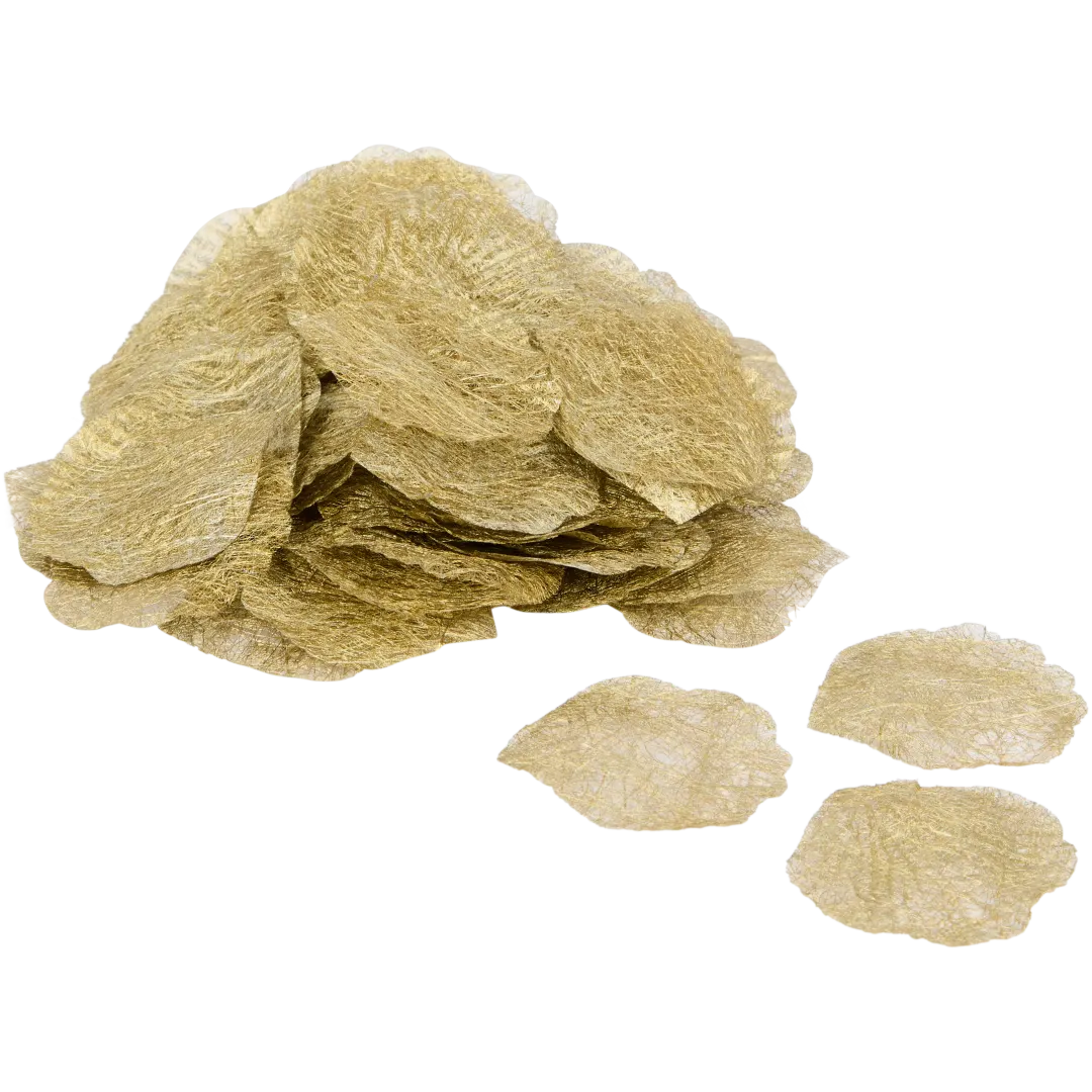 Płatki zimowej róży