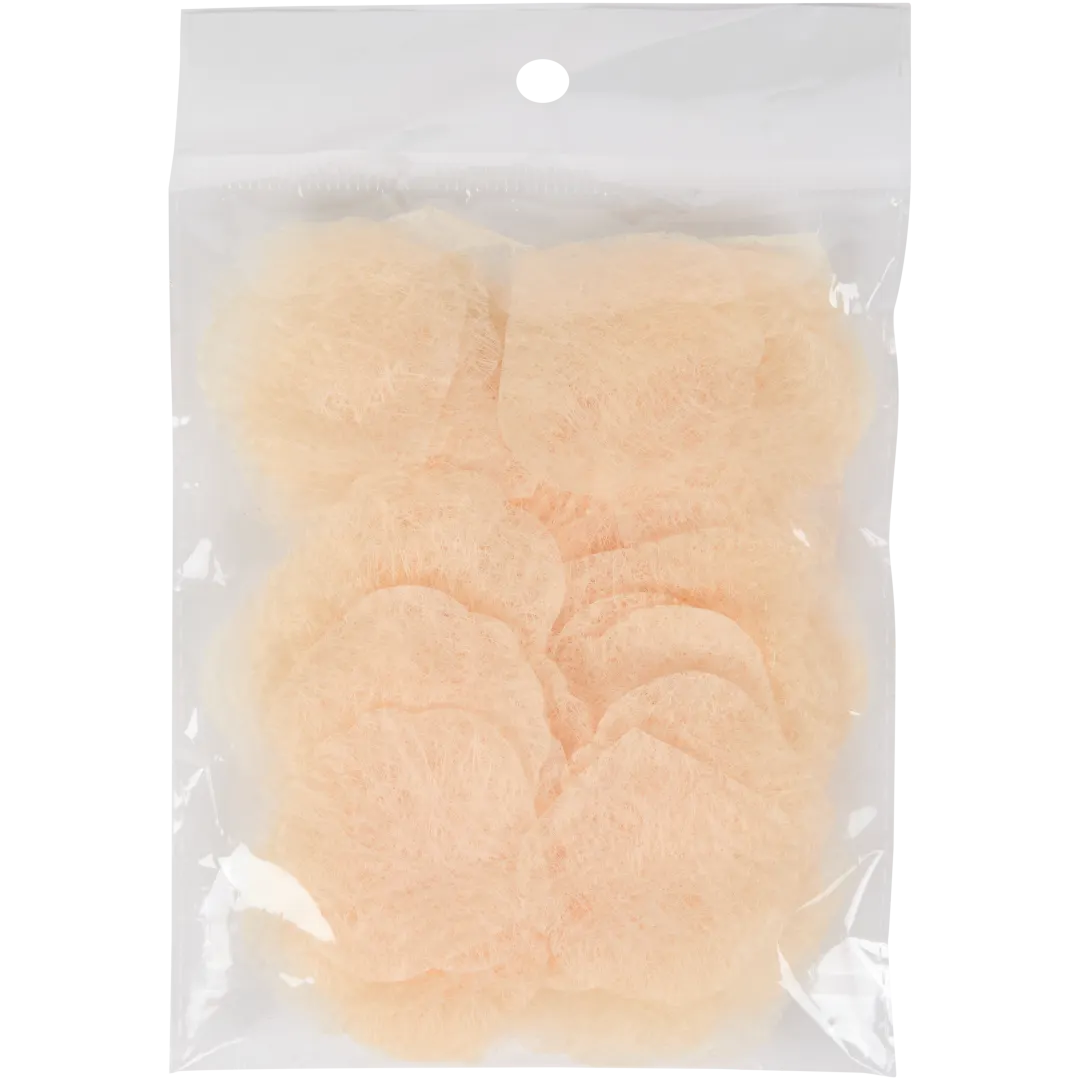 Płatki zimowej róży