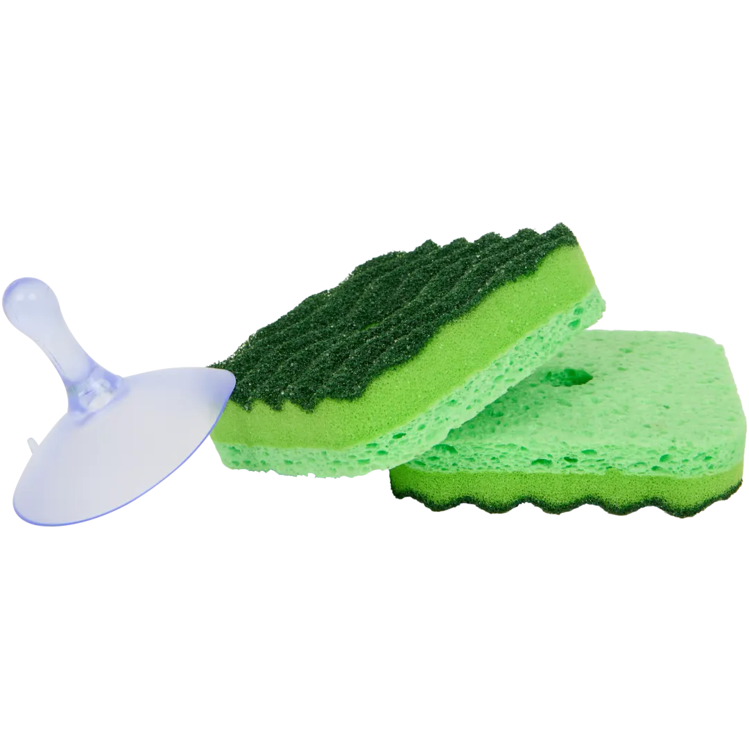 Éponges avec ventouse Ibex 1