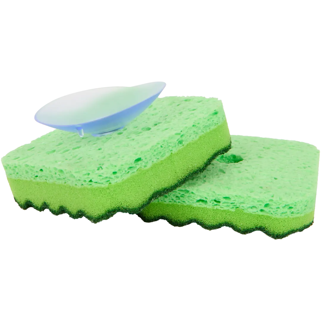 Éponges avec ventouse Ibex 2