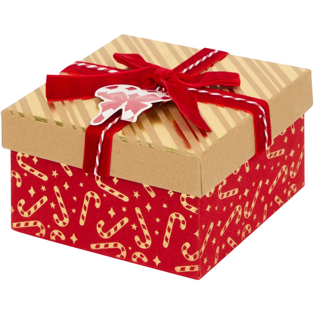 Scatola regalo
