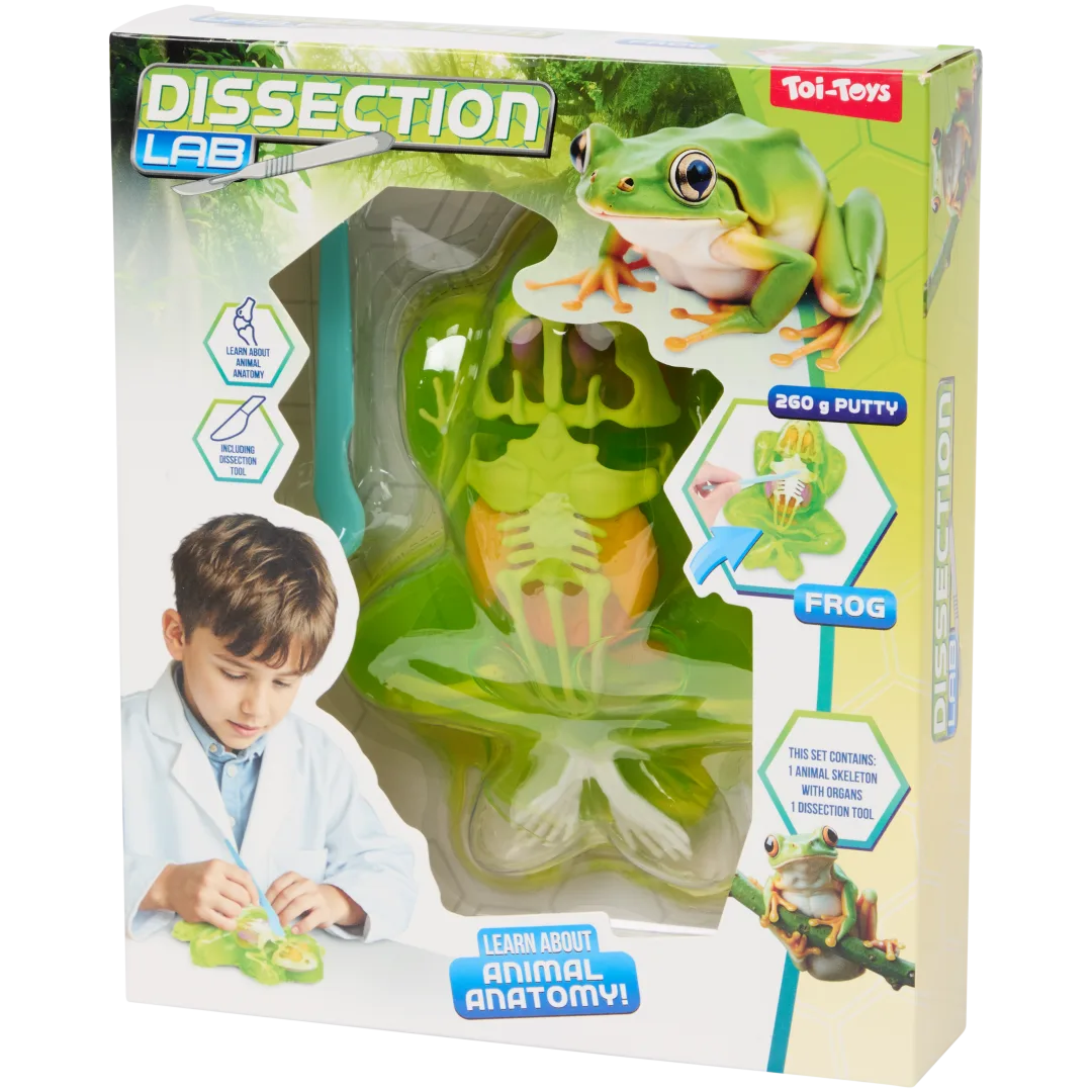 Anatomie-onderzoeksset