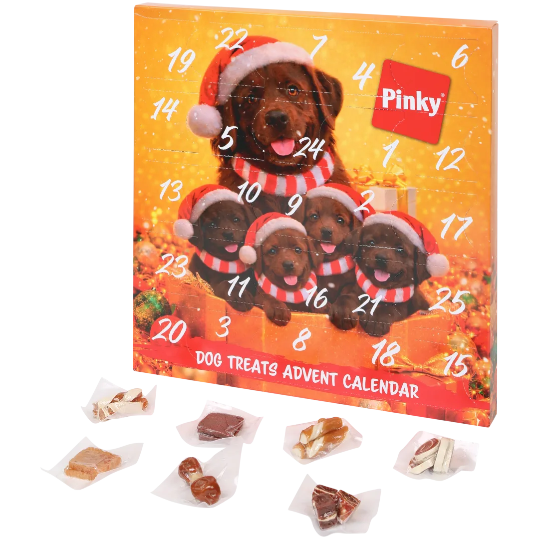Calendar de Advent Pinky 2