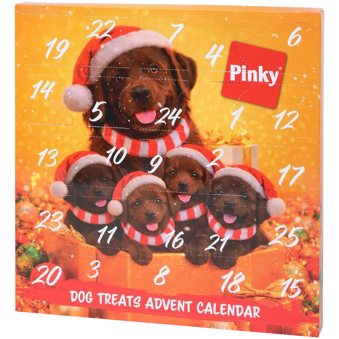 Calendar de Advent Pinky 1