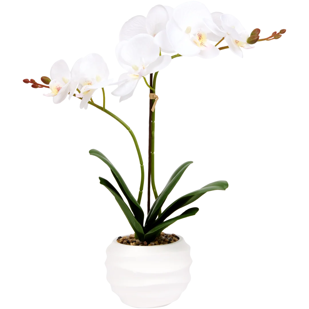 Kunstorchidee in pot