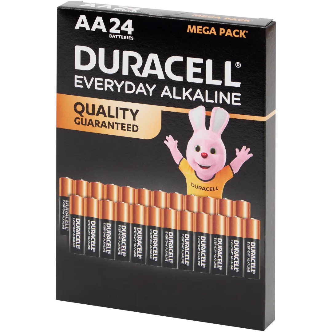 Piles Duracell Everyday Alkaline AA