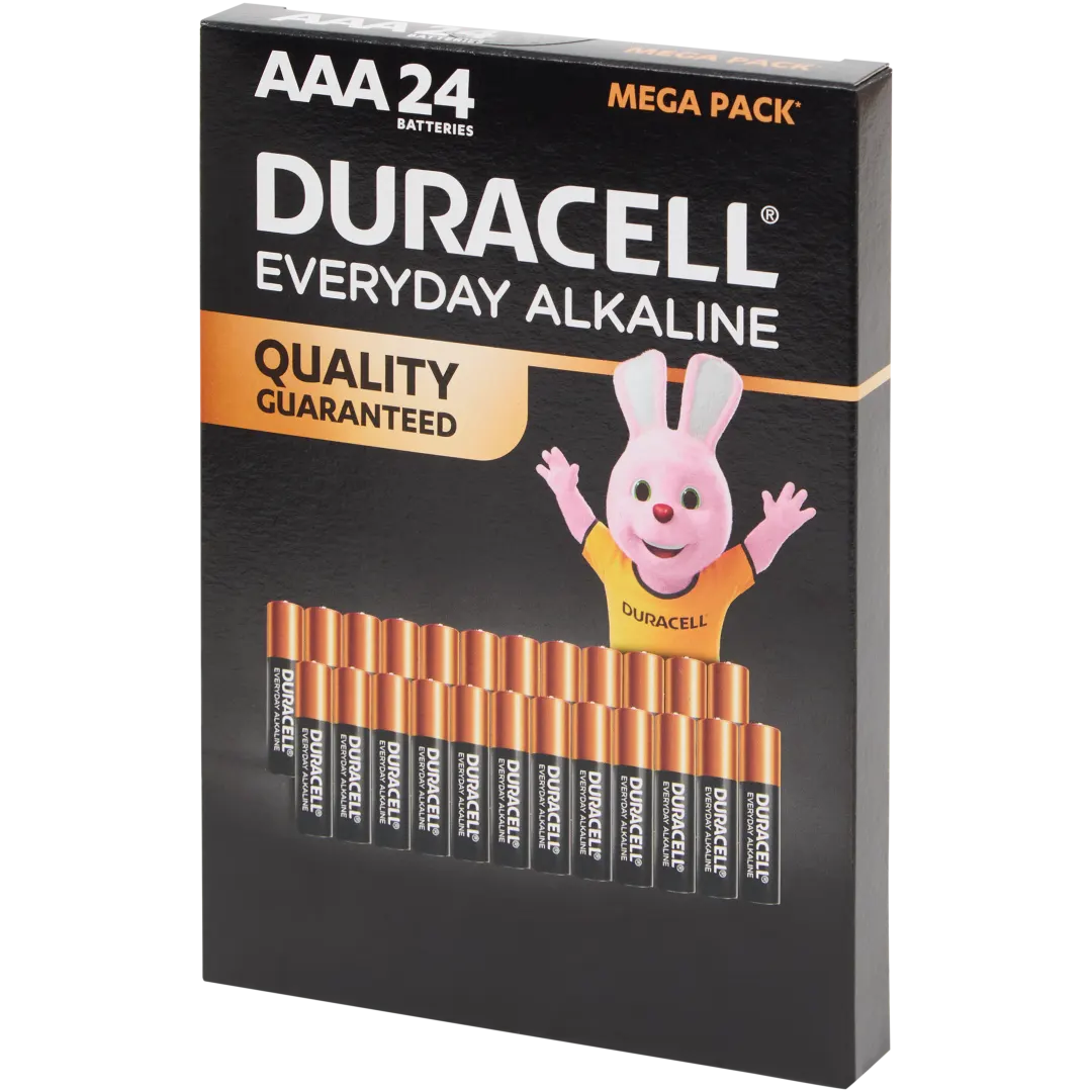 Piles Duracell Everyday Alkaline AAA